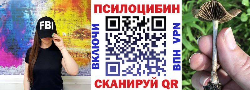 купить   Монино  Галлюциногенные грибы ЛСД 