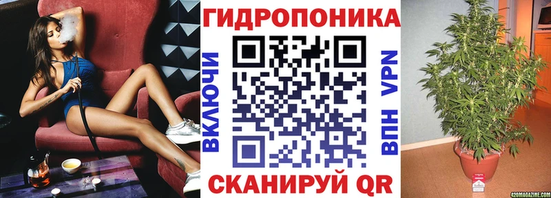 Бошки марихуана ГИДРОПОН Монино